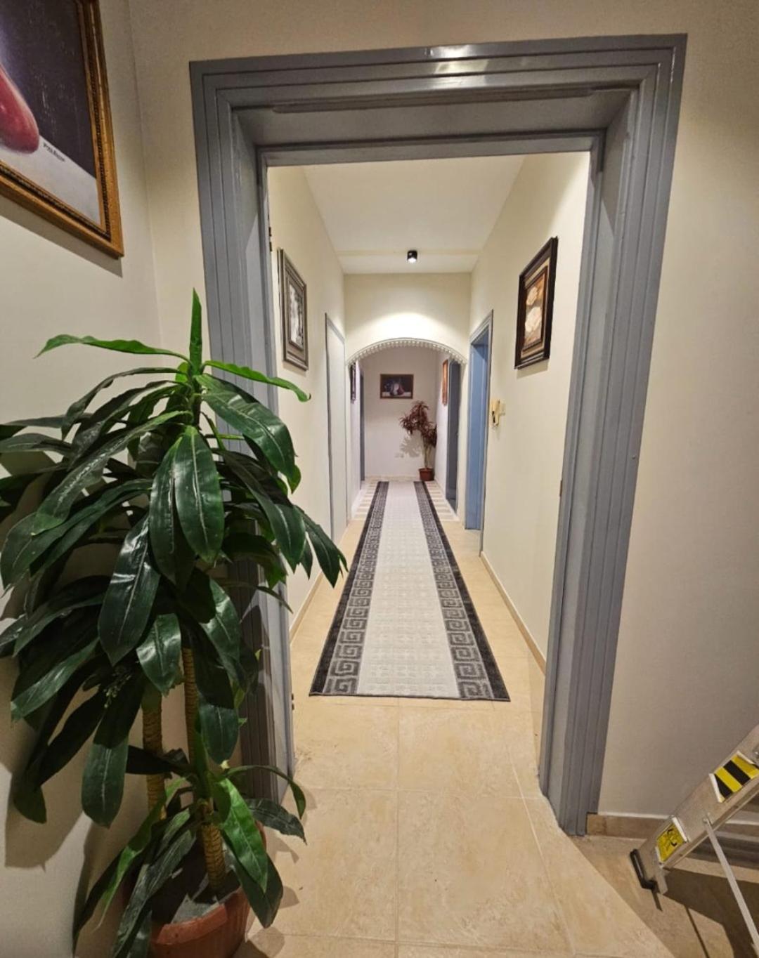 استيديو حياة الفيصلية دخول وخدمة ذاتيه الرس المظهر الخارجي الصورة